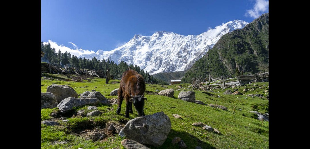 Activities in Pakistan